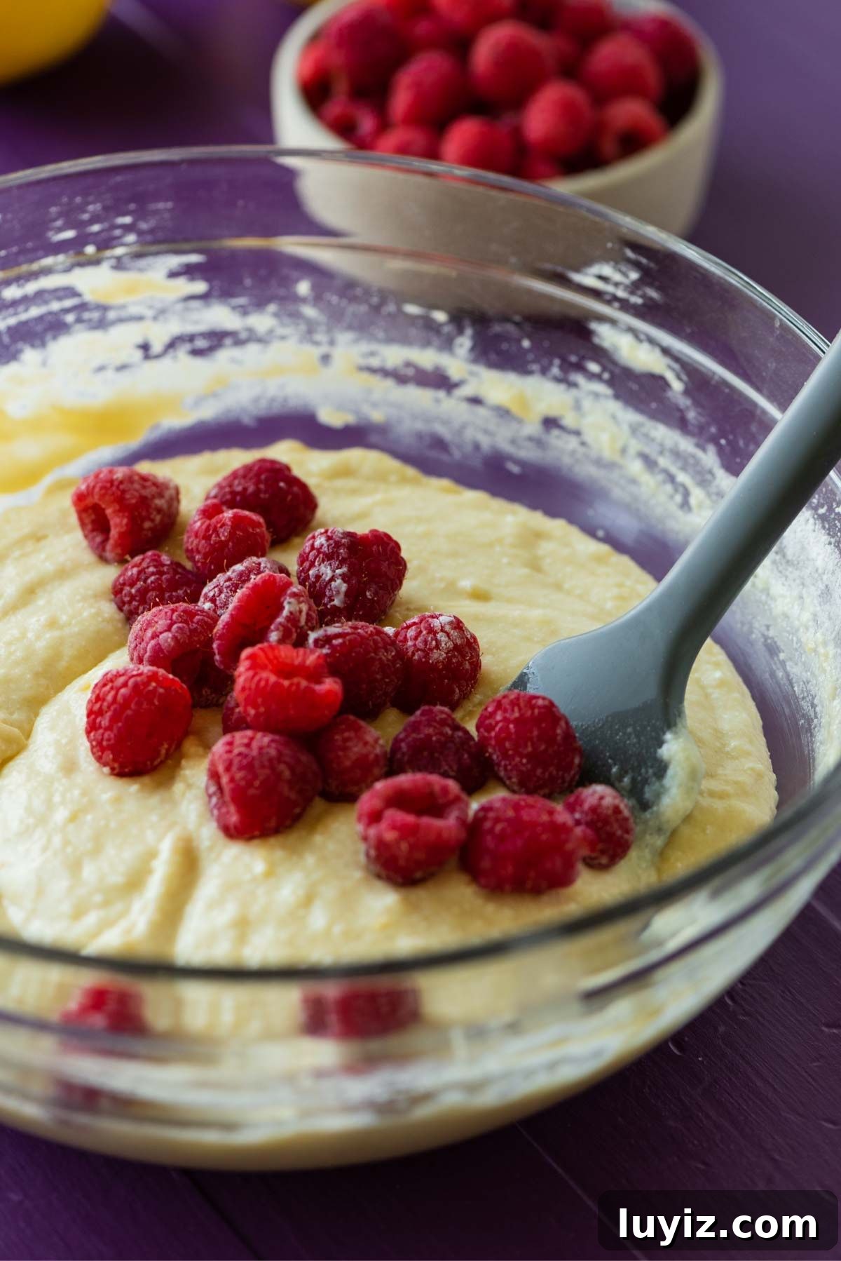 Lemon Raspberry Ricotta Cake Recipe — Moist Spring Dessert 8 Folding in fresh raspberries to a lemon raspberry ricotta cake batter.
