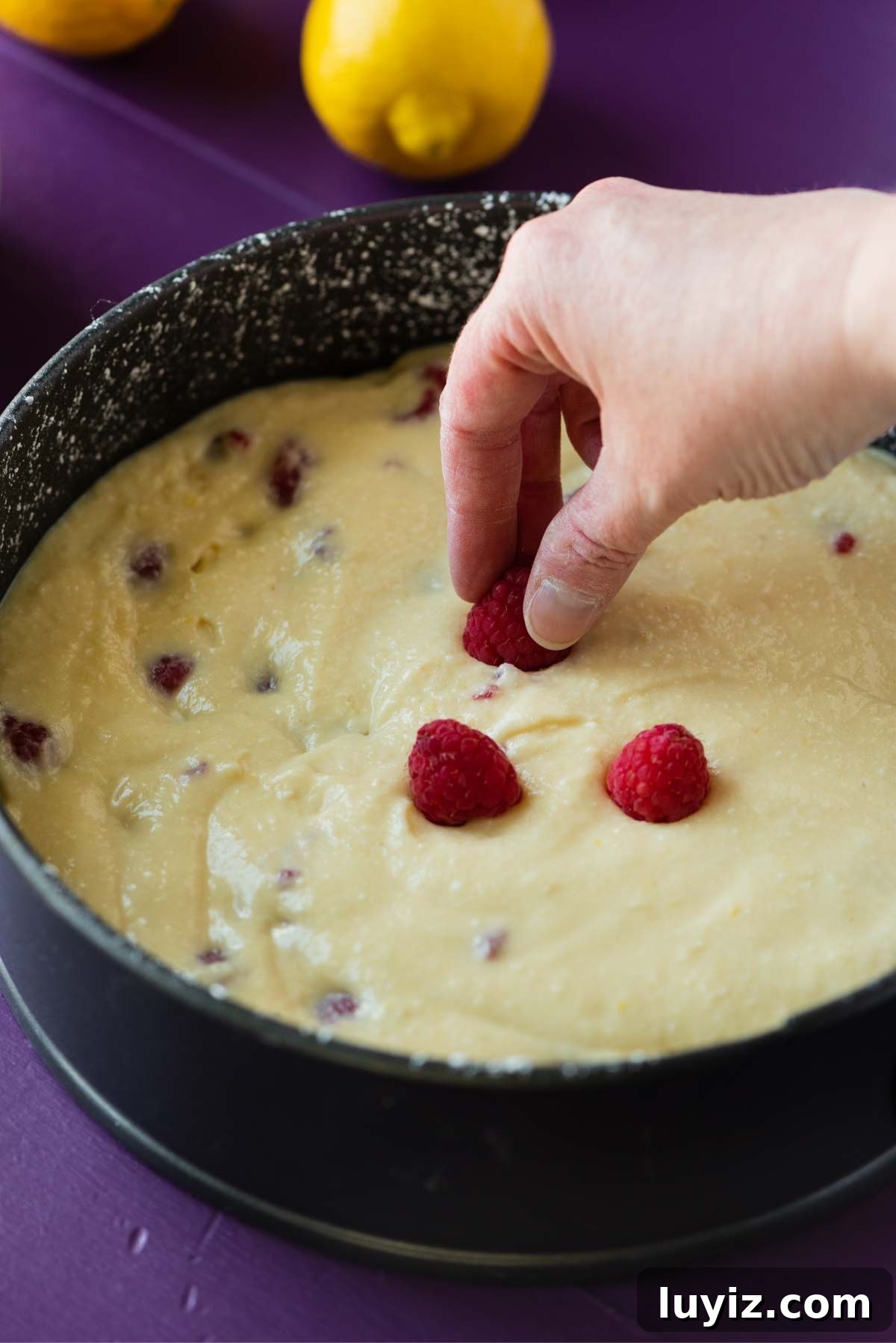 Lemon Raspberry Ricotta Cake Recipe — Moist Spring Dessert 9 Topping the lemon raspberry ricotta cake with fresh raspberries before baking.