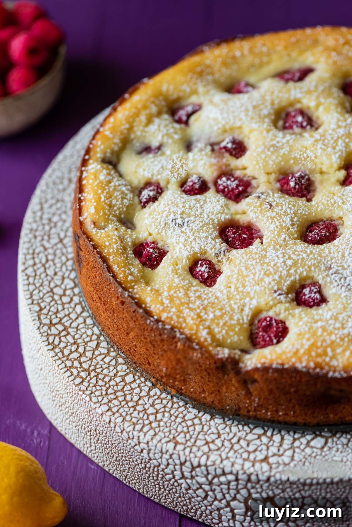 Lemon Raspberry Ricotta Cake Recipe — Moist Spring Dessert 10 Lemon raspberry ricotta cake dusted with powdered sugar on crackled ceramic cake stand and purple wood background.