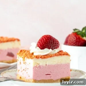 Strawberry Shortcake Ice Cream Cake Recipe — No-Bake Dessert 9 Slice of strawberry shortcake ice cream cake with whipped cream and a strawberry on top