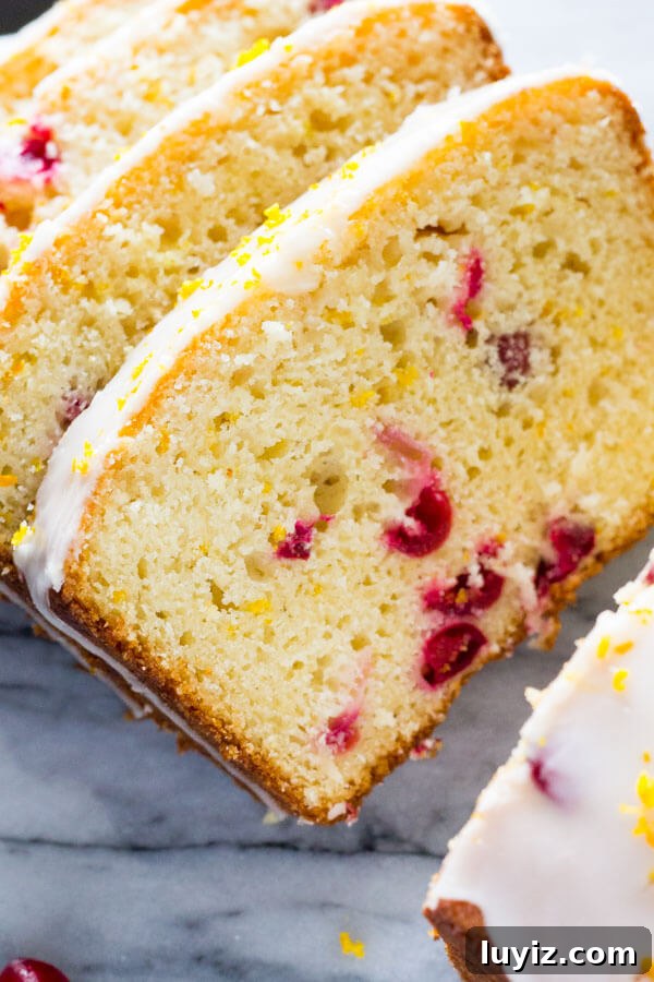 Cranberry Orange Loaf Cake Recipe with Zesty Glaze 2 Glazed Cranberry Orange Loaf. Super soft & moist because it's made with sour cream - be sure to include this recipe in your holiday baking check list! www.justsotasty.com