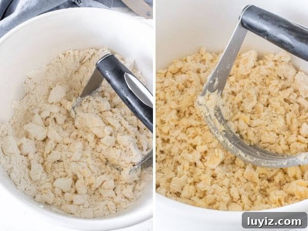Perfect Flaky Pie Crust Recipe for Homemade Pies 4 2 step by step photos showing how the pie dough should look after the fats are cut into the dry ingredients.
