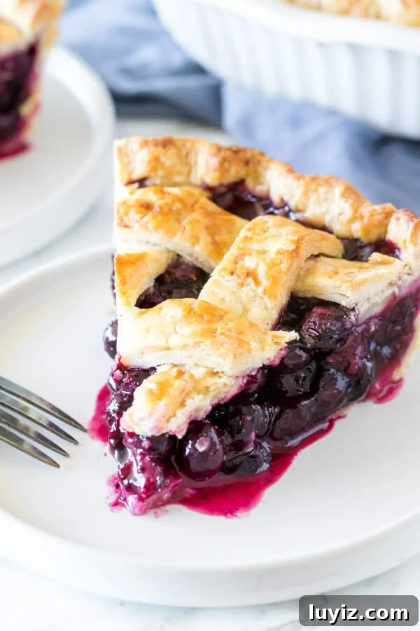 Perfect Flaky Pie Crust Recipe for Homemade Pies 8 A slice of blueberry pie made with buttery, flaky homemade pie crust recipe