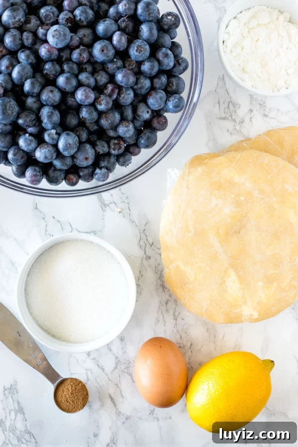 How to Make Classic Blueberry Pie with Flaky Golden Crust 3 Overhead shot of ingredients for making blueberry pie: blueberries, cornstarch, sugar, pie dough, cinnamon, egg and lemon.