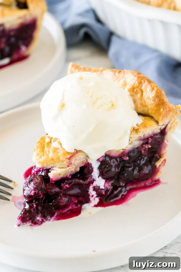 How to Make Classic Blueberry Pie with Flaky Golden Crust 5 A slice of homemade blueberry pie with flaky crust topped with a scoop of ice cream.