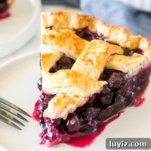 A slice of homemade blueberry pie with a juicy fruit filling and flaky lattice crust on top.