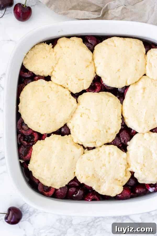 Classic Cherry Cobbler Recipe: Sweet Baked Cherry Dessert 4 Cherry cobbler before going into the oven to be baked. The biscuit topping is cobbled on top of the fresh cherry layer.