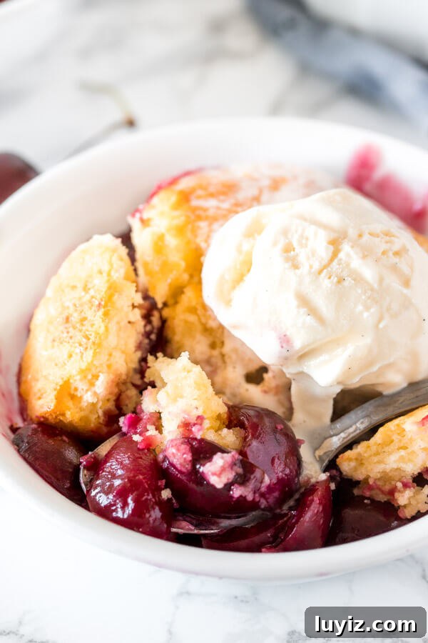 Classic Cherry Cobbler Recipe: Sweet Baked Cherry Dessert 5 Close up of a bite of cherry cobbler with sweet, juicy berries and buttery biscuit topping.