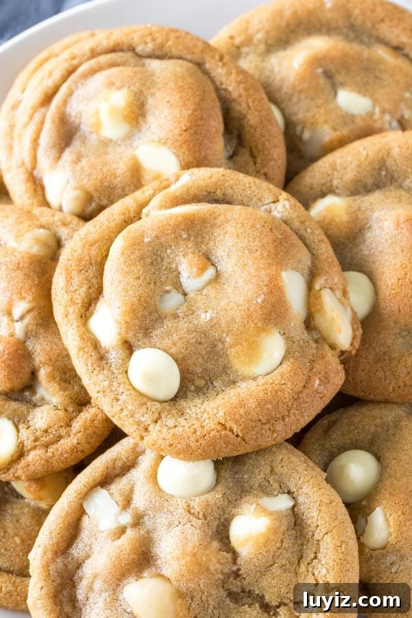 White Chocolate Macadamia Nut Cookies Recipe 3 Overhead shot of a plate of white chocolate macadamia nut cookies.