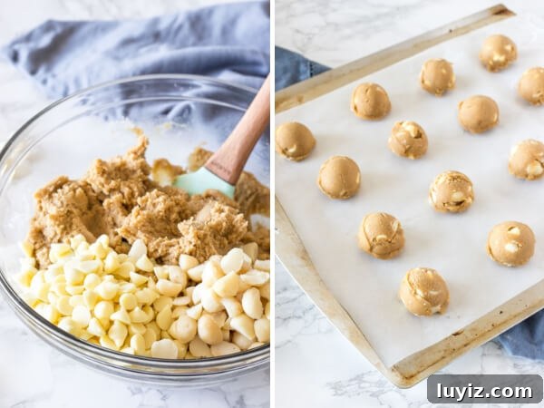 White Chocolate Macadamia Nut Cookies Recipe 4 White Chocolate Macadamia Cookie dough - before the chocolate chips and nuts are stirred into the batter, and after the dough has been formed into balls and placed on a lined cookie sheet.