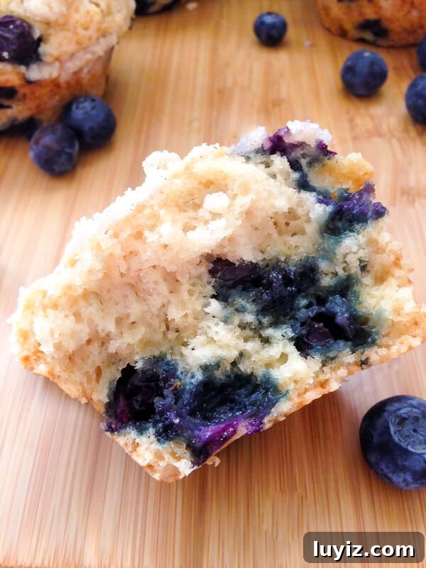 Blueberry Muffins with Crunchy Streusel Topping 2 Blueberry Muffins with Streusal Topping