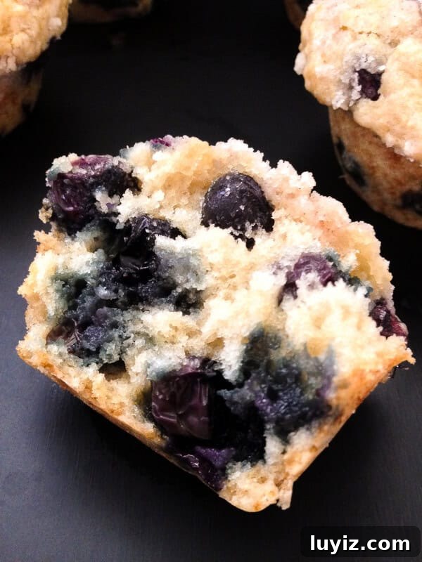 Blueberry Muffins with Crunchy Streusel Topping 3 Bleuberry Muffins with Streusel Topping