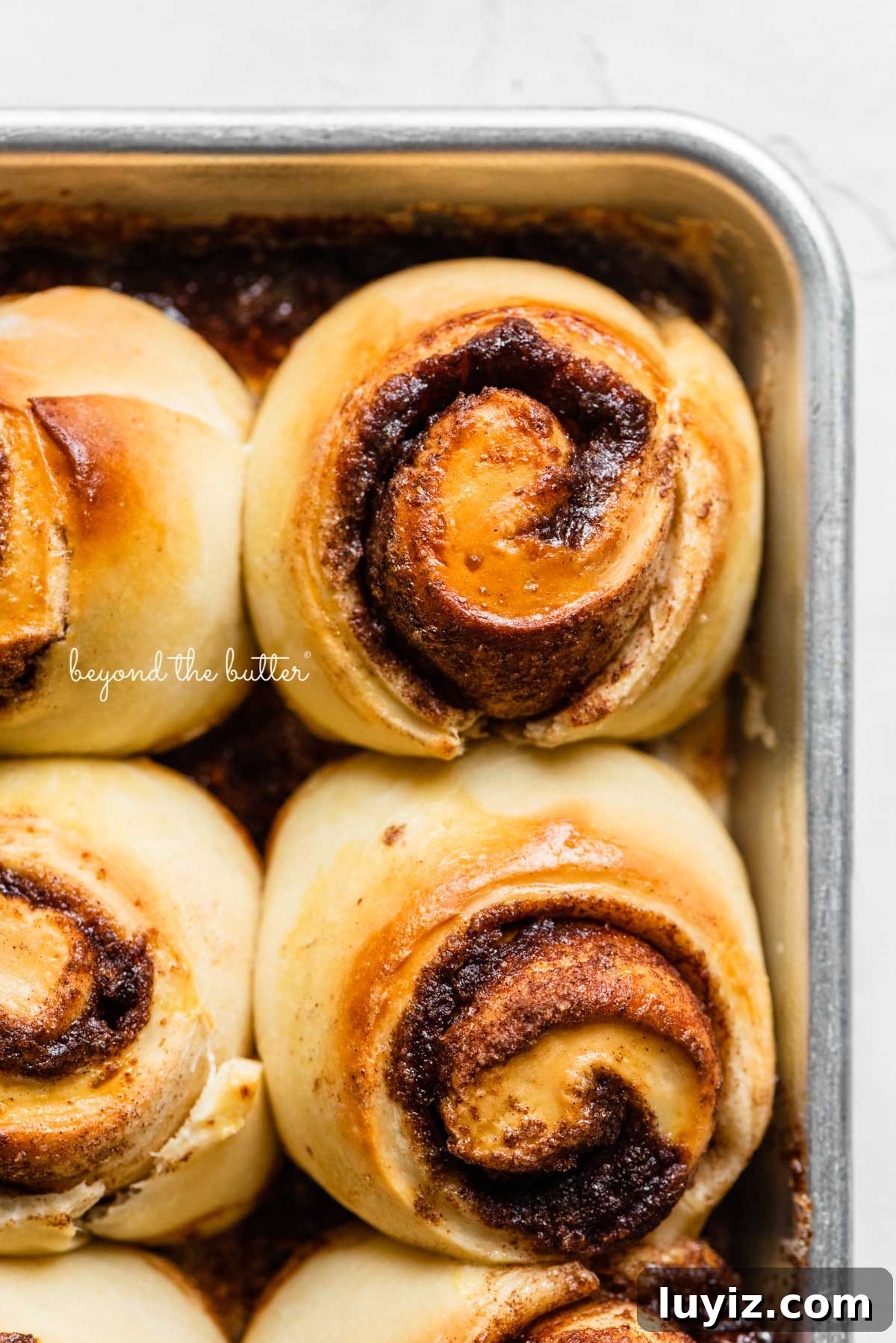 Small-Batch Cinnamon Rolls Recipe for Two to Four People 5 Small batch cinnamon rolls pre-frosted with cream cheese frosting from BeyondtheButter.com | © Beyond the Butter®