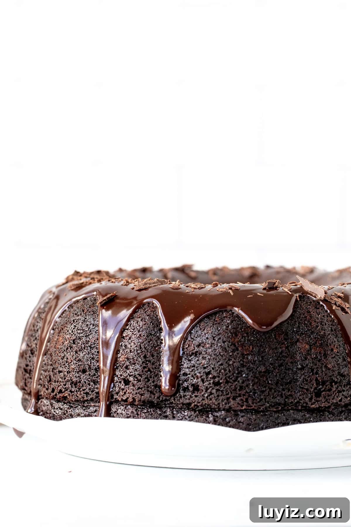 Decadent Chocolate Bundt Cake Recipe for Moist, Rich Dessert 6 Bundt cake with ganache closeup