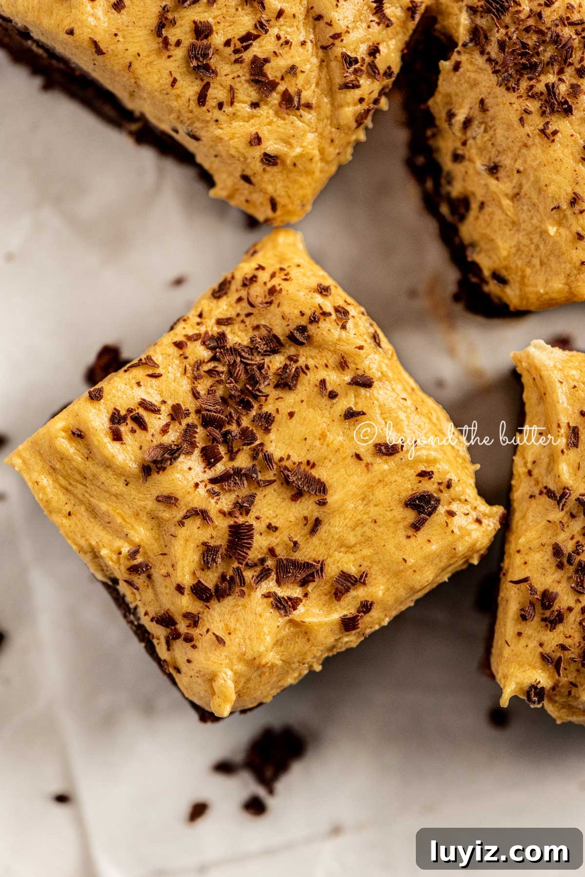 Pumpkin Fudge Brownies with Creamy Frosting 3 closeup of fudgy chocolate brownies frosted with pumpkin buttercream and topped with chocolate shavings