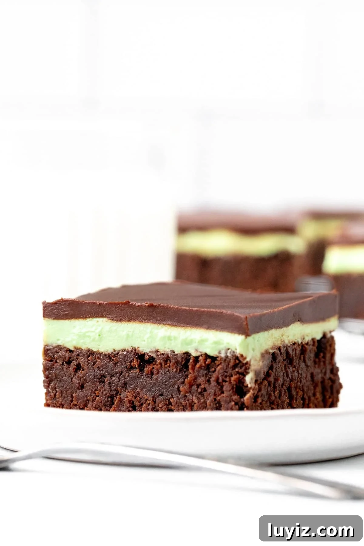 Chewy Mint Chocolate Brownies: Classic Recipe with Fresh Mint 2 Mint brownie on a plate