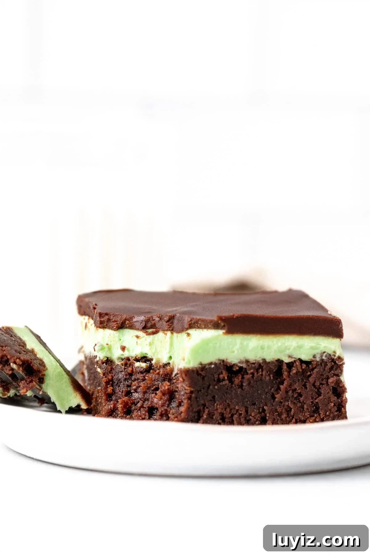 Chewy Mint Chocolate Brownies: Classic Recipe with Fresh Mint 7 img 11678 6