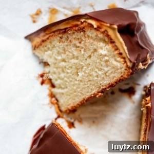 Mini Chocolate Peanut Butter Tandy Cake Recipe 15 Small chocolate peanut butter tandy kake with a slice removed and placed on its side.