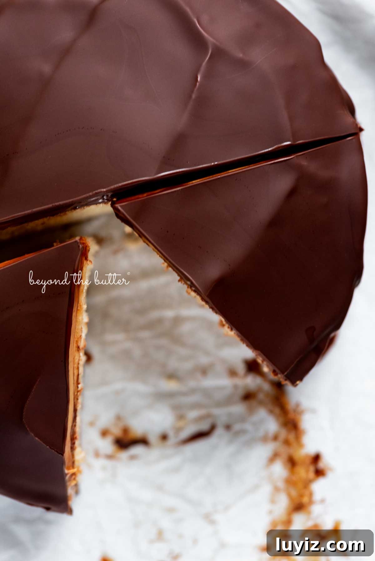 Mini Chocolate Peanut Butter Tandy Cake Recipe 6 Sliced chocolate peanut butter tandy kake on a parchment paper lined baking sheet | © Beyond the Butter®