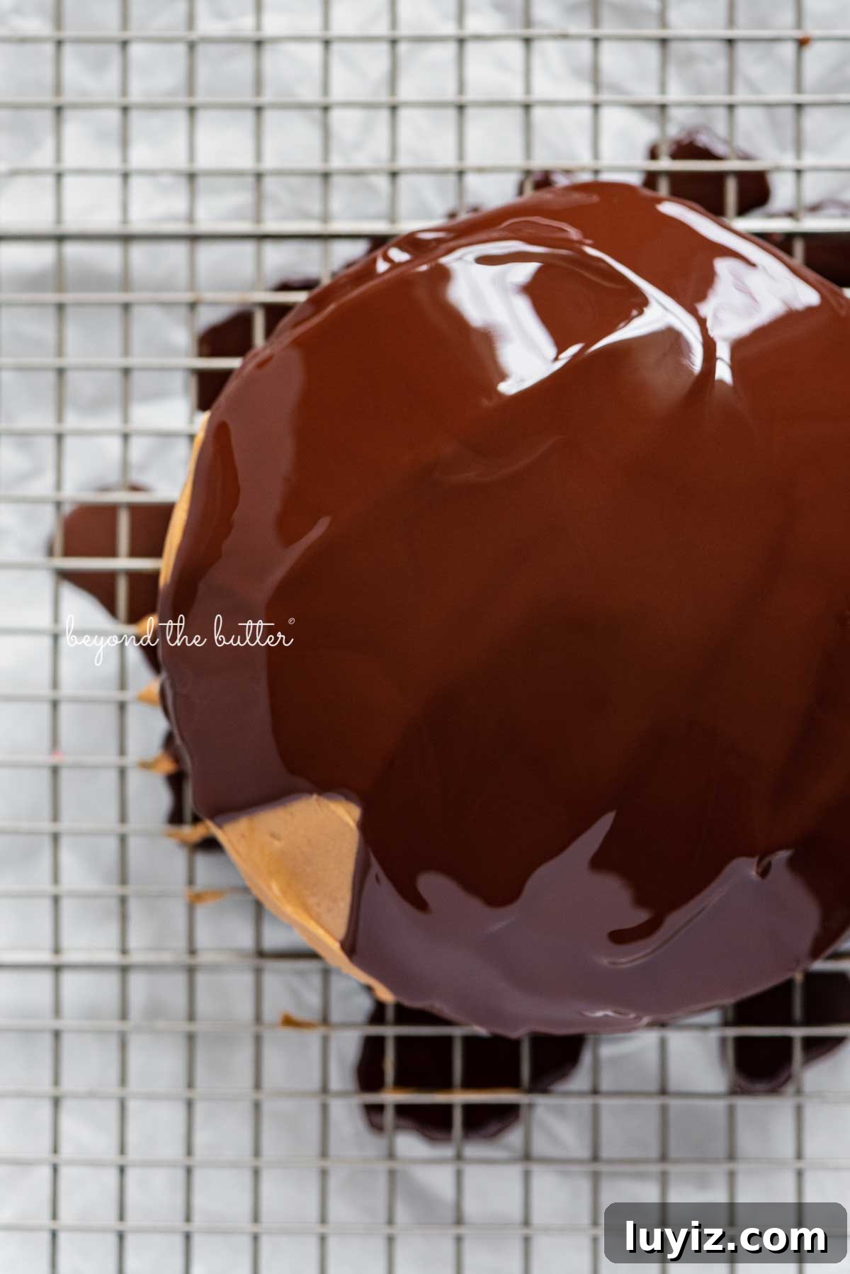 Mini Chocolate Peanut Butter Tandy Cake Recipe 8 Small chocolate peanut butter tandy kake just covered in melted chocolate on a wire cooling rack baking sheet | © Beyond the Butter®