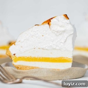 Lemon Meringue Ice Cream Pie Recipe — No-Bake Citrus Dessert 9 Slices of lemon meringue ice cream pie on dessert plates.