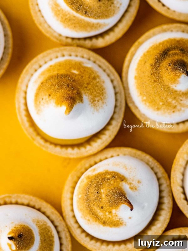 Blueberry Crumble Pie Recipe with Crunchy Oat Topping 10 Mini lemon meringue pies