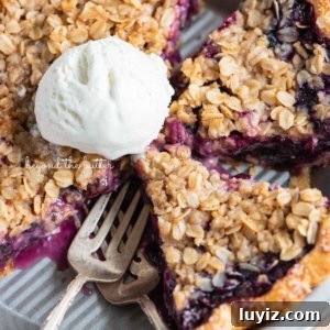 Blueberry Crumble Pie Recipe with Crunchy Oat Topping 12 Slices of blueberry crumble pie in pie plate with scoop of ice cream in the center.