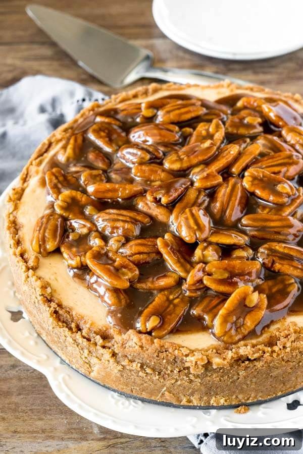 Decadent Pecan Pie Cheesecake Recipe: Rich Southern Dessert 2 Pecan pie cheesecake, taken from slightly overhead to show the graham cracker crust and butterscotch pecan topping.