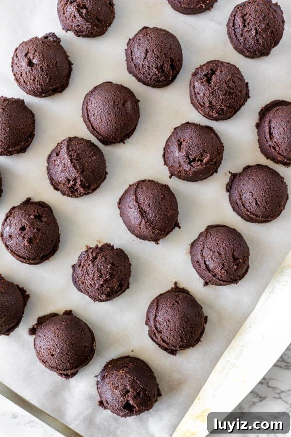 Freeze Cookie Dough and Baked Cookies: Simple Steps for Fresh Results 2 Tray of double chocolate chip cookie dough formed into balls.
