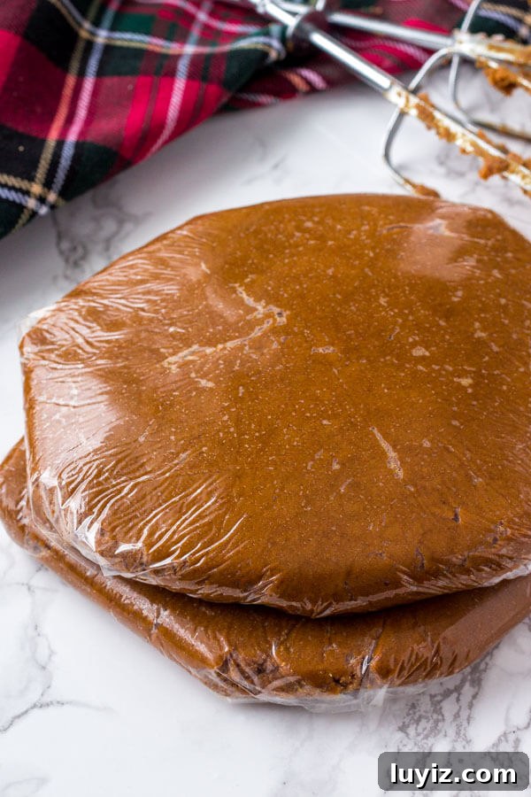 Freeze Cookie Dough and Baked Cookies: Simple Steps for Fresh Results 4 Gingerbread cookie dough formed into 2 discs before freezing.