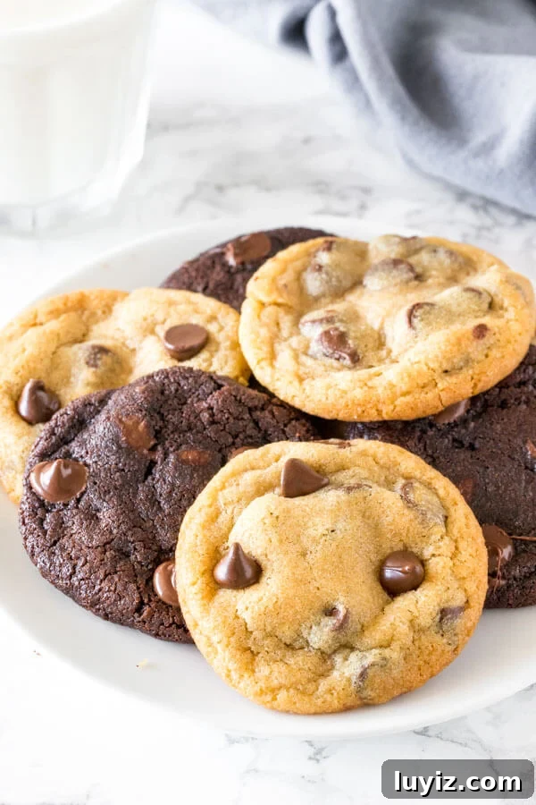 Freeze Cookie Dough and Baked Cookies: Simple Steps for Fresh Results 6 A plate of chocolate chip and double chocolate cookies.