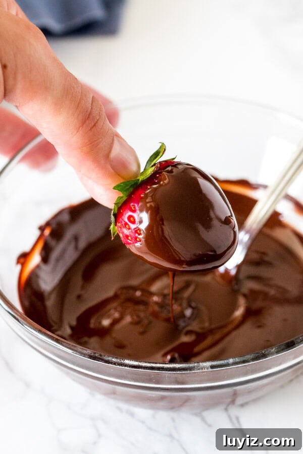Perfect Chocolate Melting Guide: Techniques for Smooth, Shiny Melted Chocolate 2 A strawberry dipped in a bowl of melted chocolate.