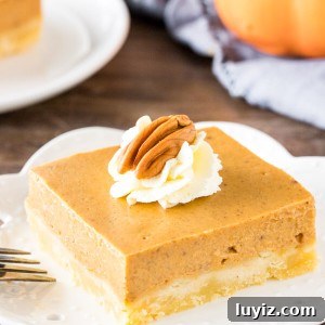 A slice of pumpkin pie bars with easy shortbread crust and whipped cream on top.