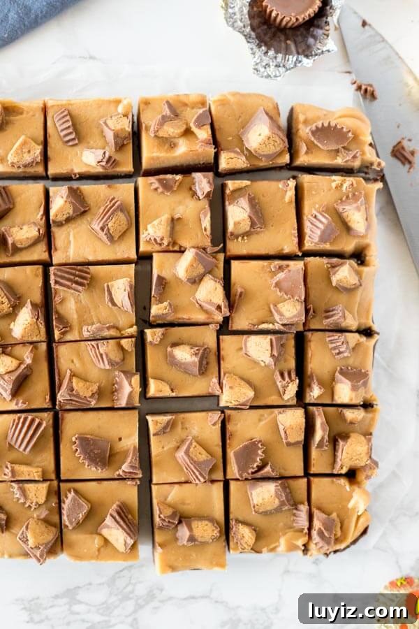 Chocolate Peanut Butter Fudge (Buckeye Fudge) Recipe 3 A pan of chocolate peanut butter fudge with peanut butter cups on top cut into pieces and photographed from above.