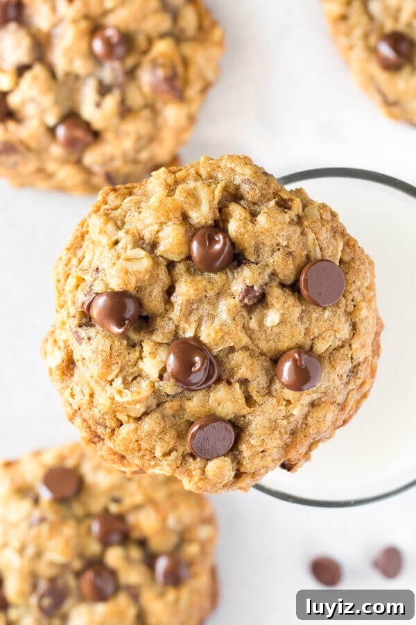 Delicious Oat-Based Baking Recipes for Every Occasion 4 A chewy oatmeal chocolate chip cookie made with old-fashioned oats.