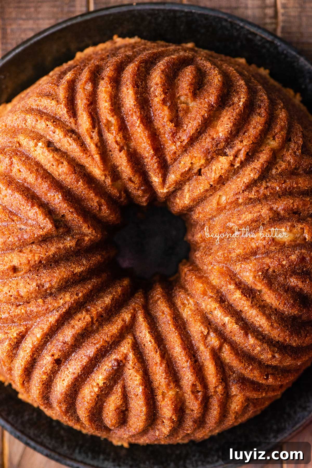 Moist Apple Bundt Cake with Cinnamon Glaze 7 Homemade apple bundt cake on black ceramic plate and dark wood background | © Beyond the Butter®