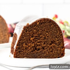 Gingerbread Bundt Cake Recipe — Moist Spiced Holiday Cake 11 Slice of gingerbread bundt cake on a plate