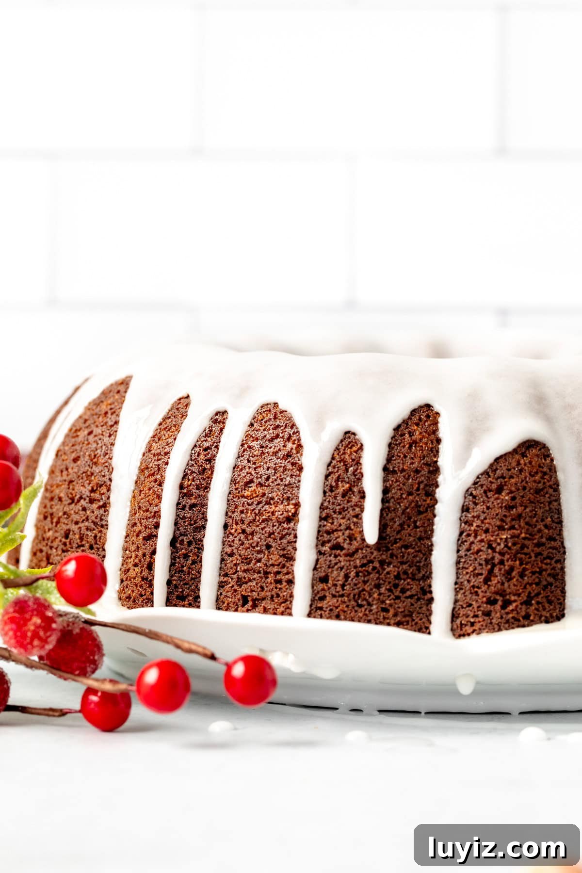 Gingerbread Bundt Cake Recipe — Moist Spiced Holiday Cake 3 Round gingerbread bundt cake, topped with a drizzle of lemon glaze