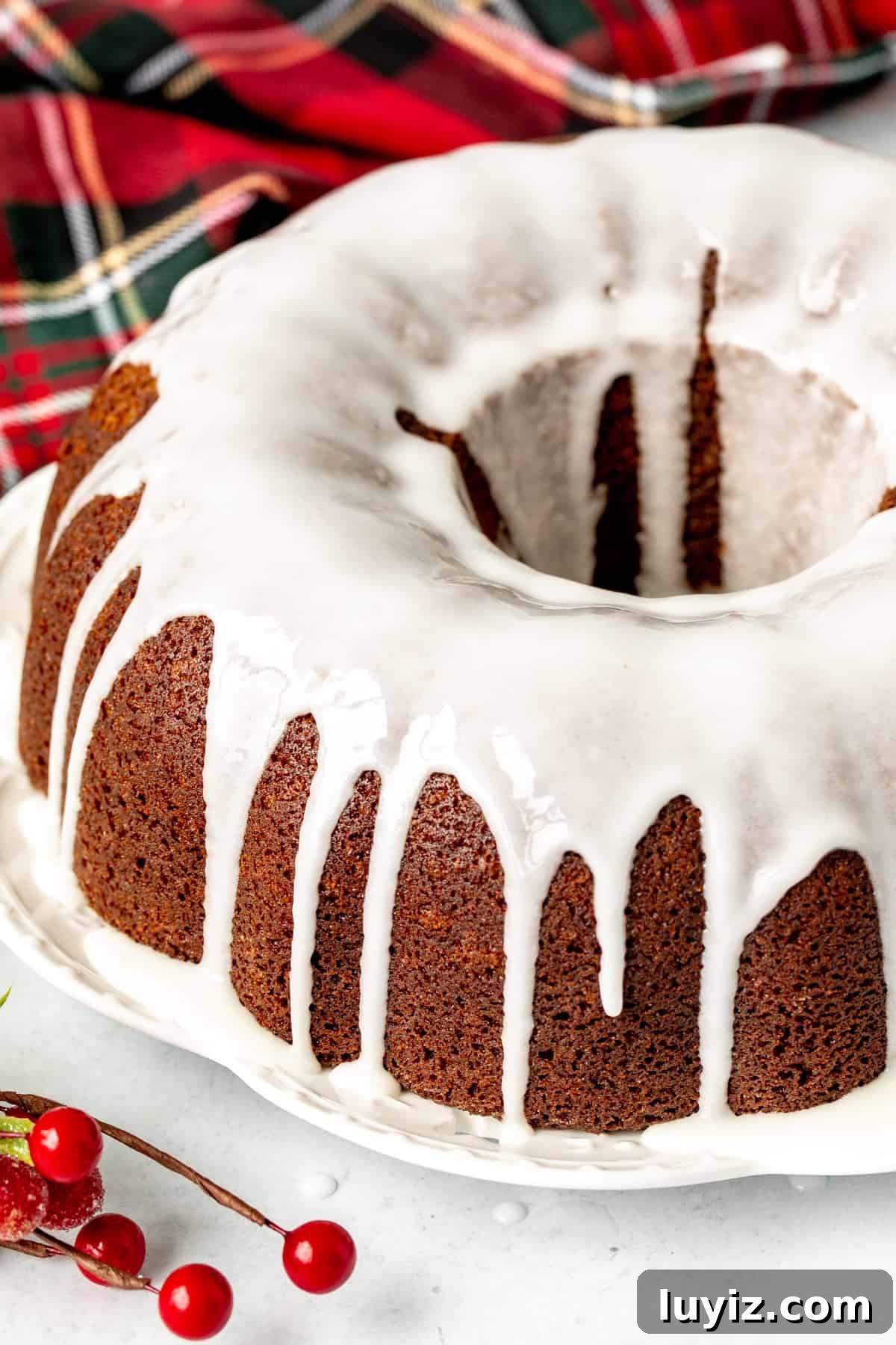 Gingerbread Bundt Cake Recipe — Moist Spiced Holiday Cake 9 Gingerbread bundt cake topped with lemon glaze