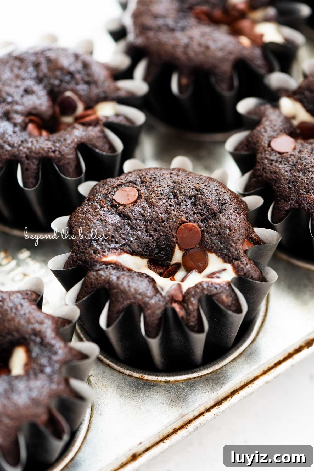 Mini Black-Bottom Chocolate Cupcakes (Small Batch Recipe) 3 Small Batch Black Bottom Cupcakes - top view
