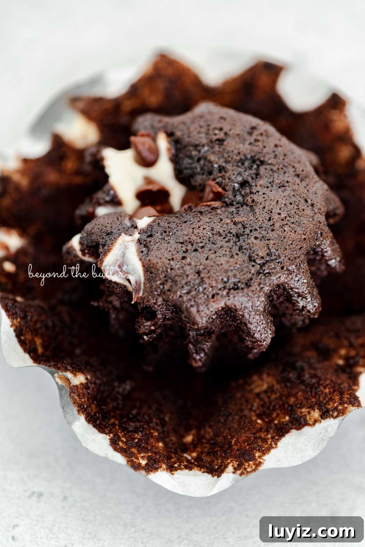 Mini Black-Bottom Chocolate Cupcakes (Small Batch Recipe) 4 Opened black bottom cupcake
