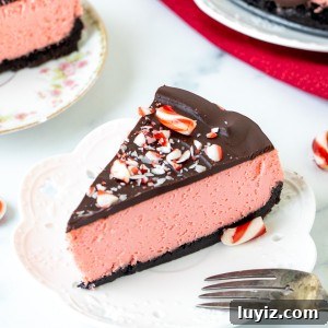 Slice of peppermint cheesecake with chocolate topping
