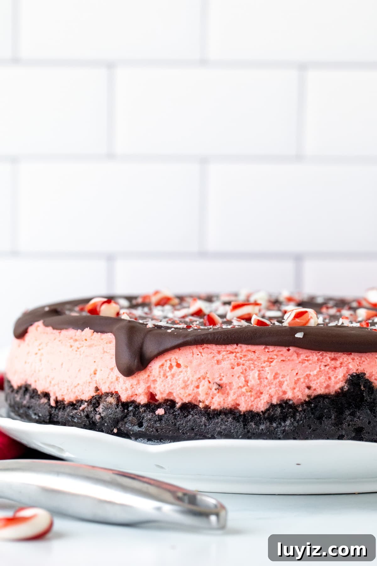 Peppermint Cheesecake Recipe: Creamy Mint Holiday Dessert 3 Round candy cane cheesecake with Oreo crust and chocolate topping on a white plate