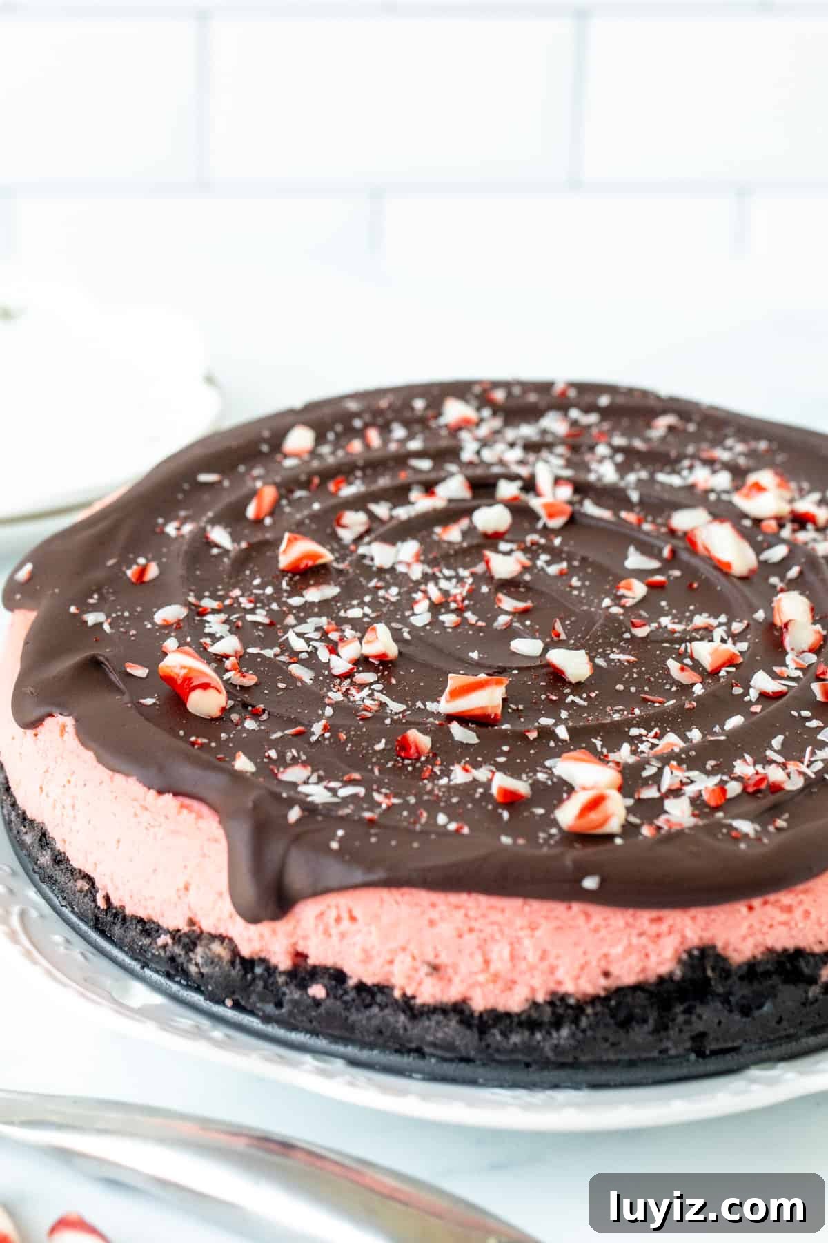 Peppermint Cheesecake Recipe: Creamy Mint Holiday Dessert 4 9-inch round peppermint cheesecake topped with chocolate ganache and crushed candy canes