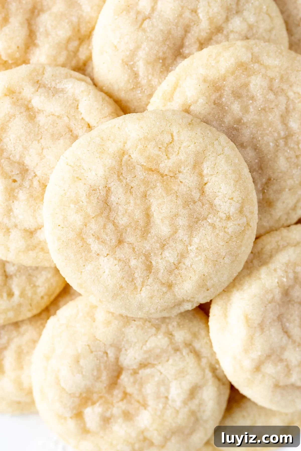 Chewy Sugar Cookies Recipe for Soft, Melt-in-Your-Mouth Cookies 2 Chewy sugar cookies on a plate