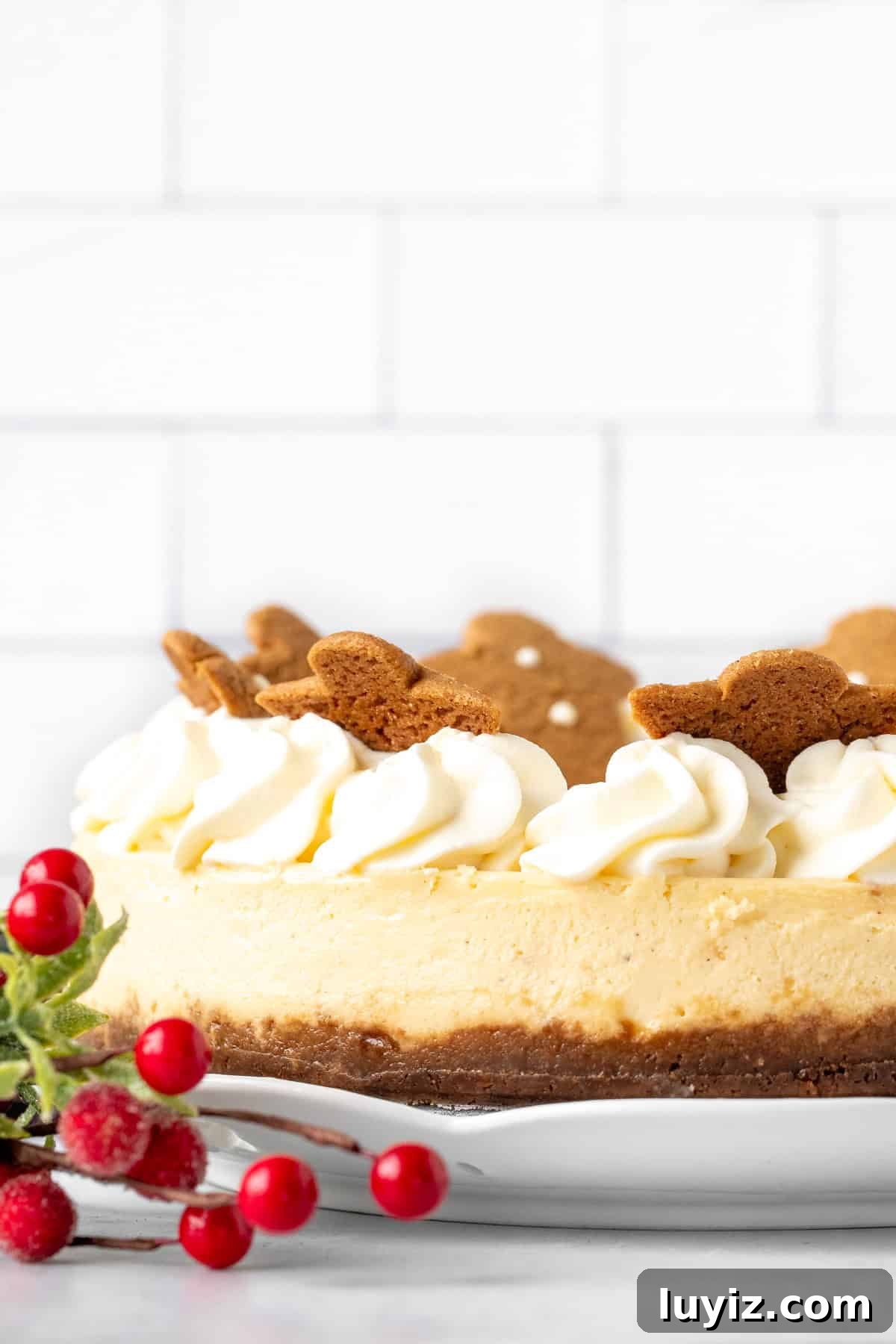 Creamy Eggnog Cheesecake Recipe for Festive Holidays 3 9-inch round eggnog cheesecake decorated with whipped cream and gingerbread cookies around the edges