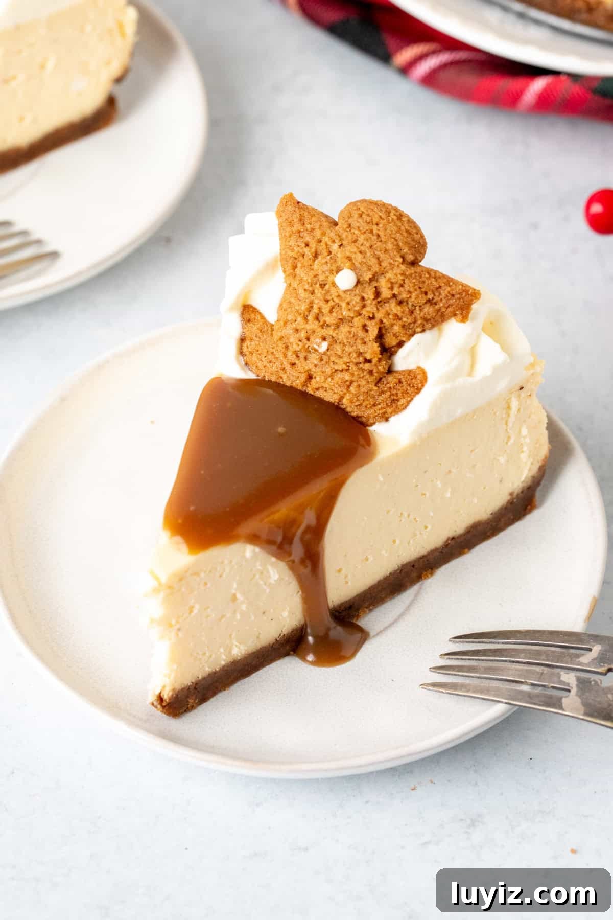 Creamy Eggnog Cheesecake Recipe for Festive Holidays 8 Slice of eggnog cheesecake with gingersnap crust