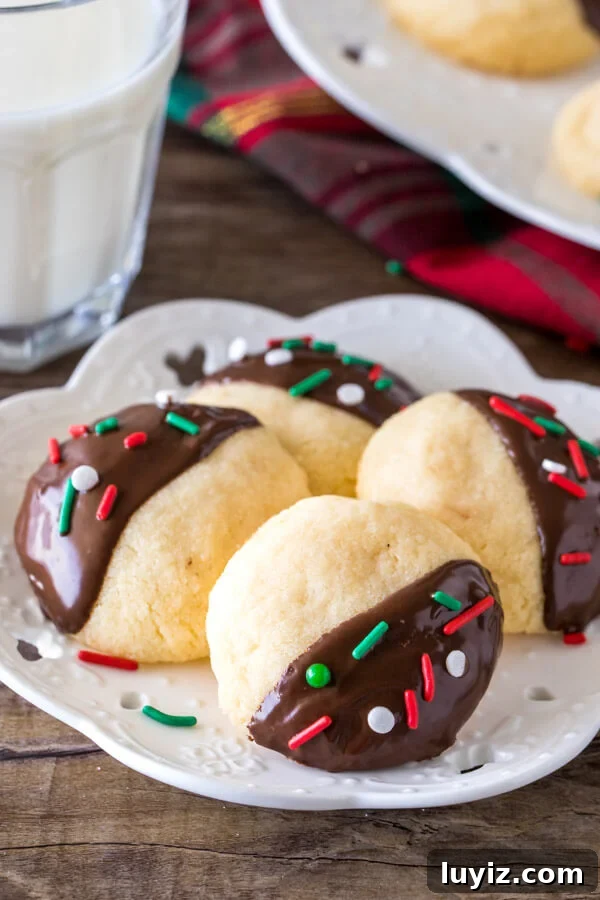 Chocolate-Dipped Shortbread Cookies Recipe for Perfect Treats 3 A small plate of 4 round chocolate dipped shortbread cookies.