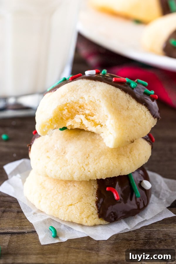Chocolate-Dipped Shortbread Cookies Recipe for Perfect Treats 5 A stack of 3 chocolate dipped shortbread cookies with a bite out of the top cookie.