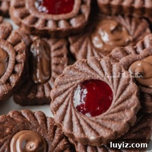 Chocolate Thumbprint Cookies with Raspberry Jam Filling 9 Closeup image of chocolate thumbprint cookies on white dessert plate.